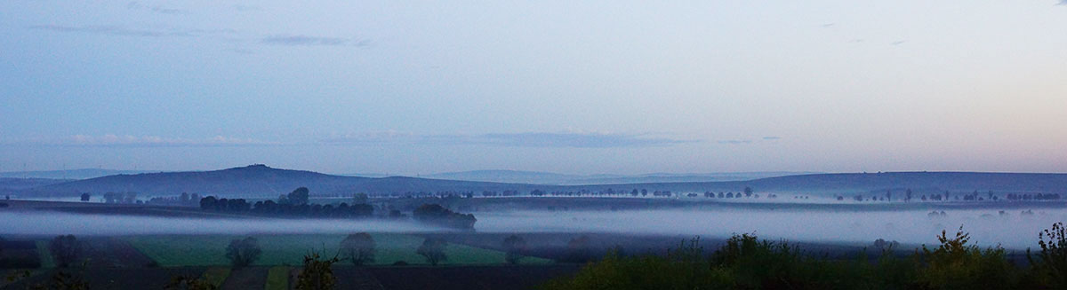 Morgendmmerung am Petersberg in Rheinhessen