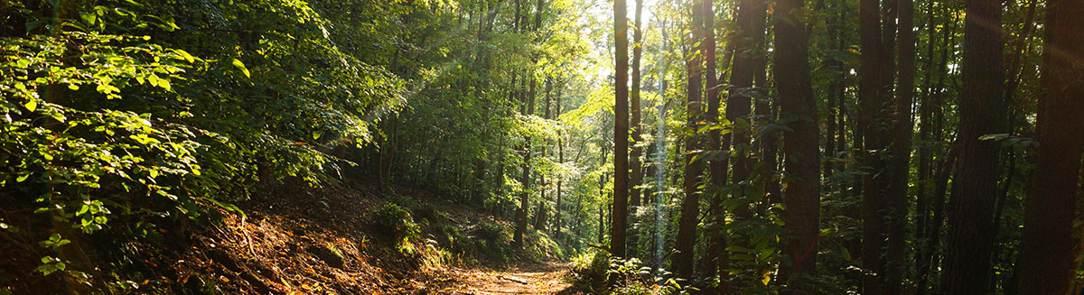 Sonnenaufgang über dem Odenwald